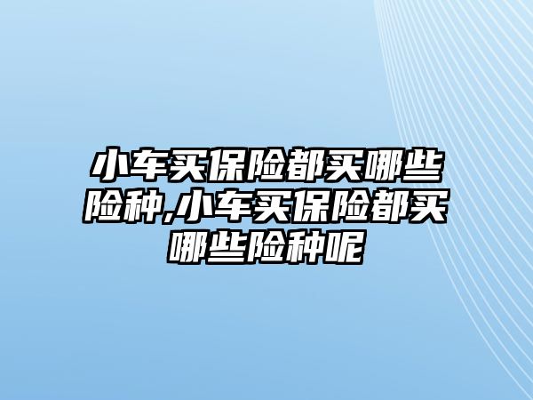 小車買保險都買哪些險種,小車買保險都買哪些險種呢