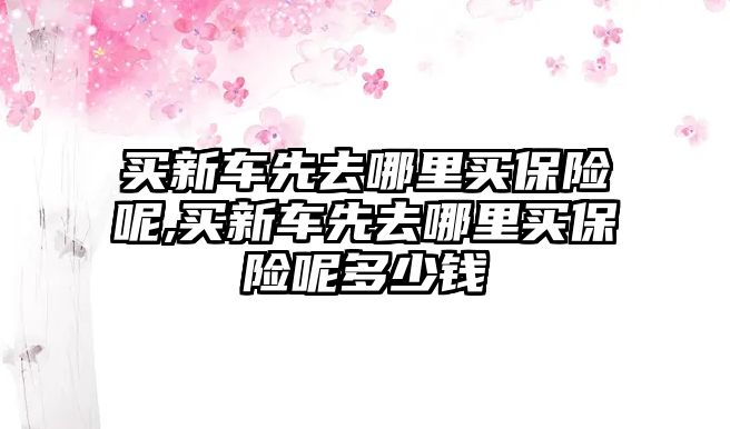 買新車先去哪里買保險呢,買新車先去哪里買保險呢多少錢