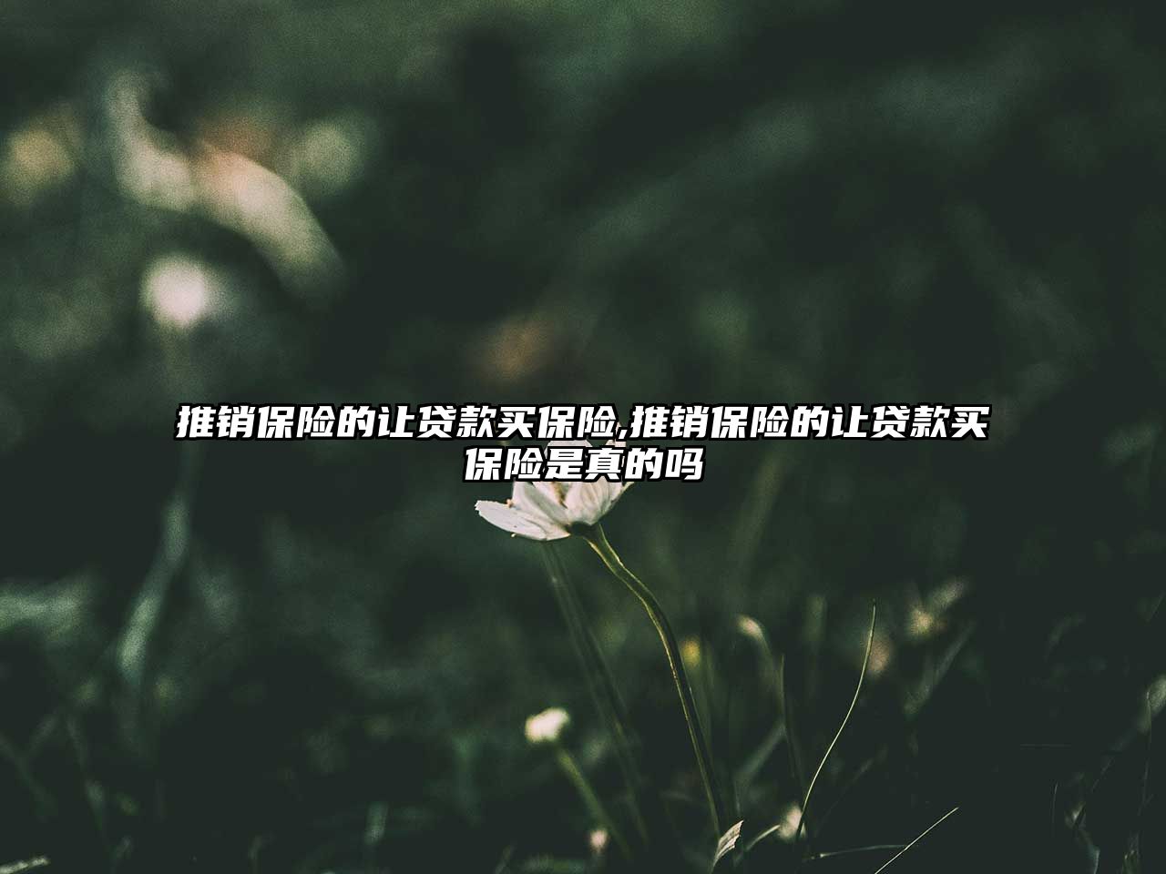 推銷保險(xiǎn)的讓貸款買保險(xiǎn),推銷保險(xiǎn)的讓貸款買保險(xiǎn)是真的嗎