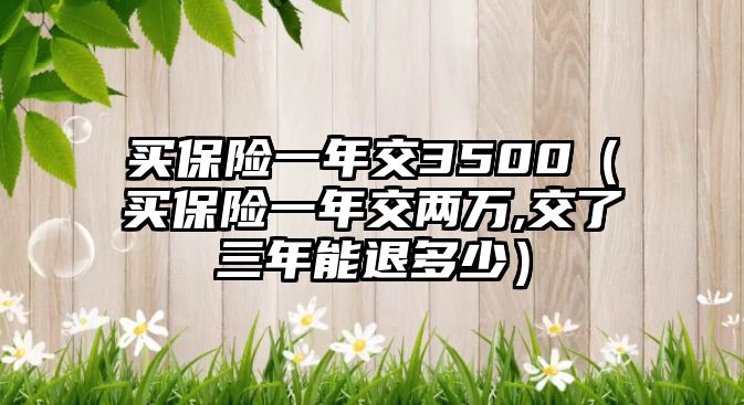 買保險一年交3500（買保險一年交兩萬,交了三年能退多少）