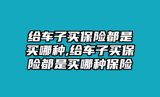 給車子買保險都是買哪種,給車子買保險都是買哪種保險