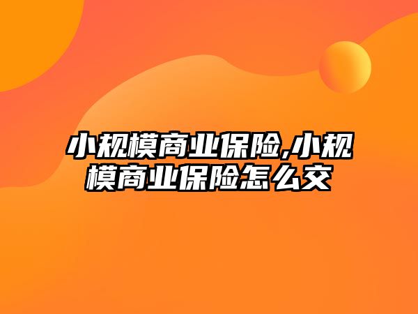 小規(guī)模商業(yè)保險,小規(guī)模商業(yè)保險怎么交