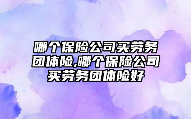 哪個保險公司買勞務團體險,哪個保險公司買勞務團體險好