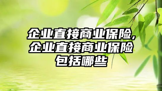 企業(yè)直接商業(yè)保險,企業(yè)直接商業(yè)保險包括哪些