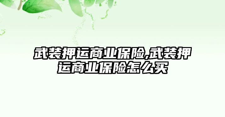 武裝押運商業(yè)保險,武裝押運商業(yè)保險怎么買