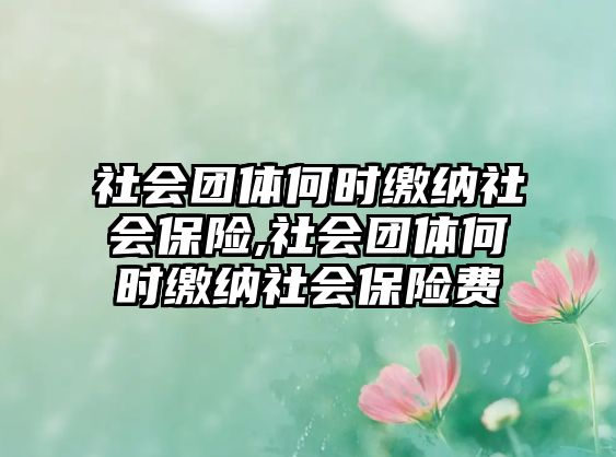 社會團體何時繳納社會保險,社會團體何時繳納社會保險費