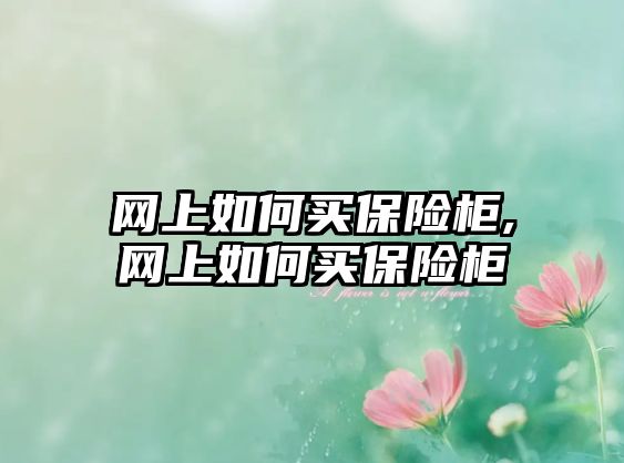 網(wǎng)上如何買保險柜,網(wǎng)上如何買保險柜