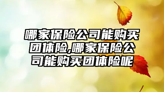 哪家保險公司能購買團體險,哪家保險公司能購買團體險呢