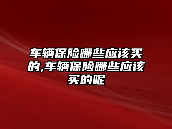 車輛保險哪些應該買的,車輛保險哪些應該買的呢