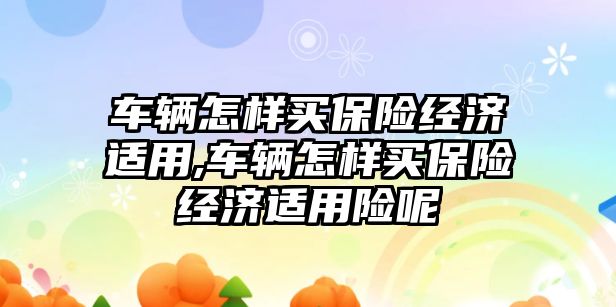 車輛怎樣買保險經濟適用,車輛怎樣買保險經濟適用險呢