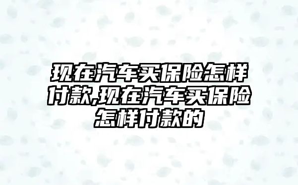 現(xiàn)在汽車買保險(xiǎn)怎樣付款,現(xiàn)在汽車買保險(xiǎn)怎樣付款的