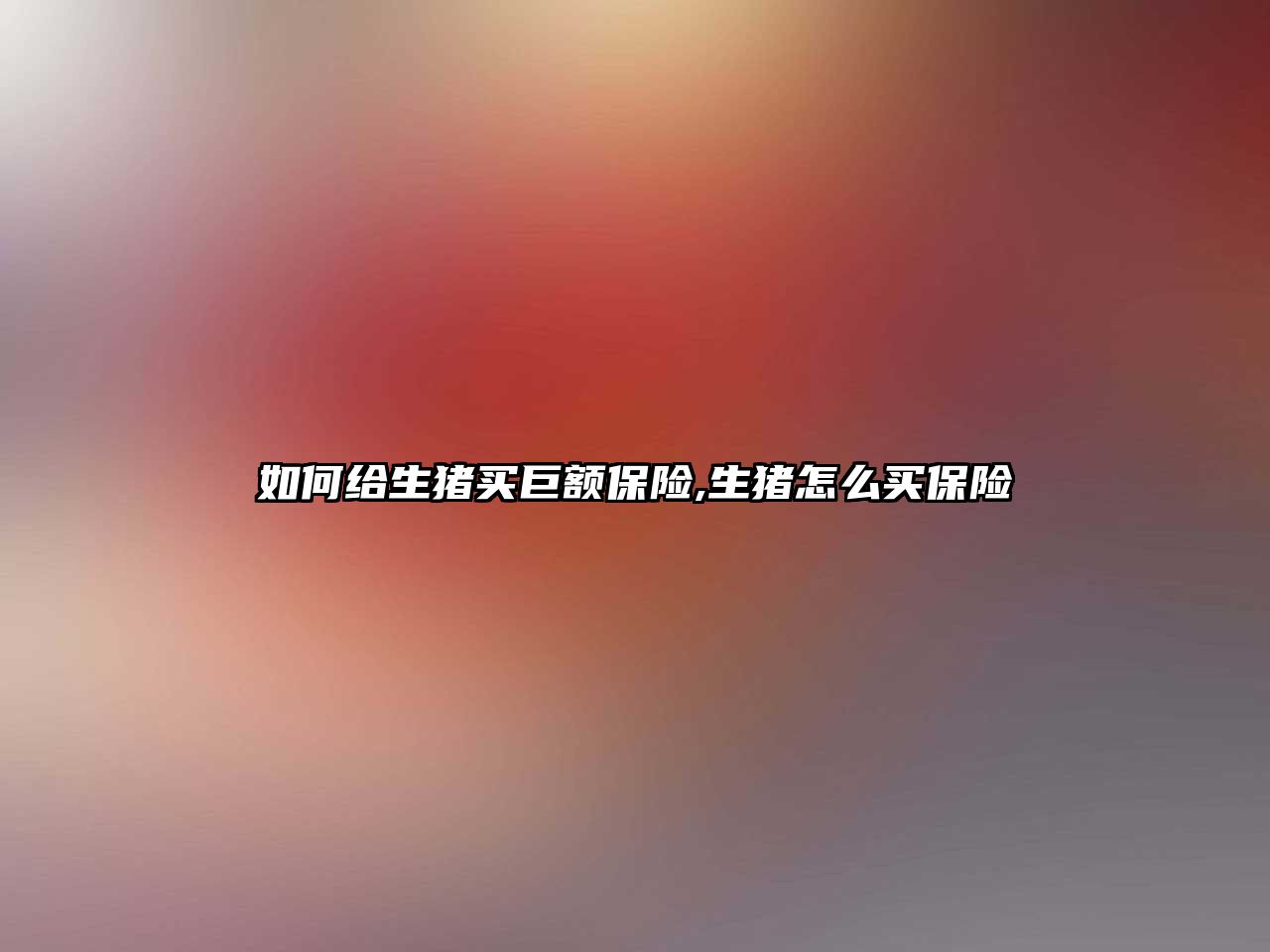 如何給生豬買巨額保險,生豬怎么買保險