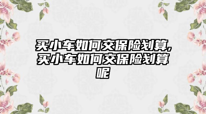 買小車如何交保險劃算,買小車如何交保險劃算呢