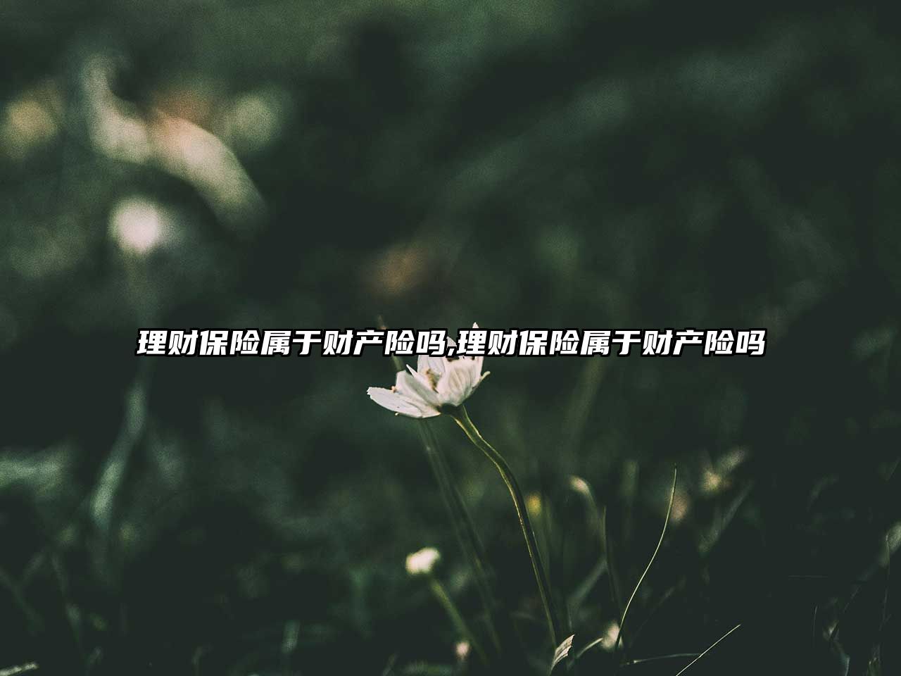 理財保險屬于財產(chǎn)險嗎,理財保險屬于財產(chǎn)險嗎