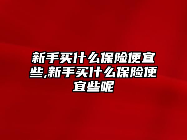 新手買什么保險便宜些,新手買什么保險便宜些呢