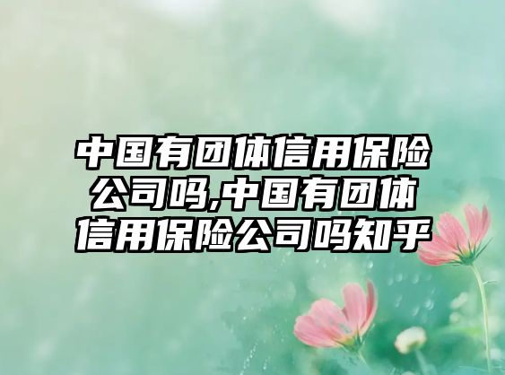 中國有團(tuán)體信用保險(xiǎn)公司嗎,中國有團(tuán)體信用保險(xiǎn)公司嗎知乎