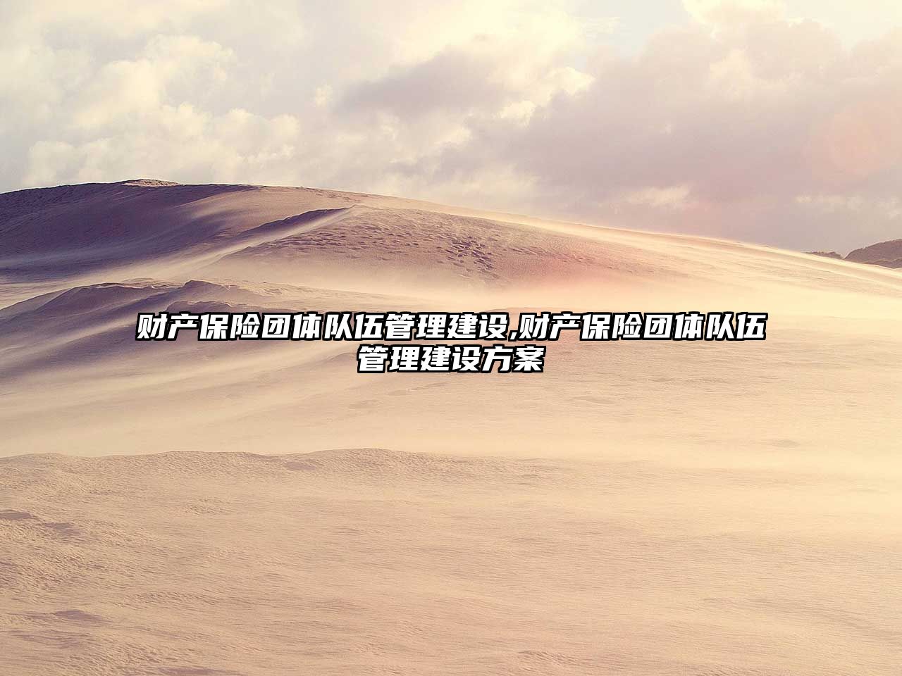 財(cái)產(chǎn)保險(xiǎn)團(tuán)體隊(duì)伍管理建設(shè),財(cái)產(chǎn)保險(xiǎn)團(tuán)體隊(duì)伍管理建設(shè)方案