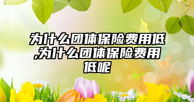 為什么團體保險費用低,為什么團體保險費用低呢