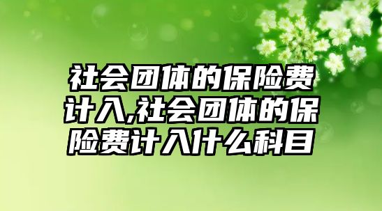 社會(huì)團(tuán)體的保險(xiǎn)費(fèi)計(jì)入,社會(huì)團(tuán)體的保險(xiǎn)費(fèi)計(jì)入什么科目