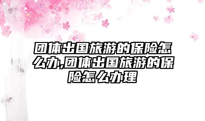 團(tuán)體出國(guó)旅游的保險(xiǎn)怎么辦,團(tuán)體出國(guó)旅游的保險(xiǎn)怎么辦理