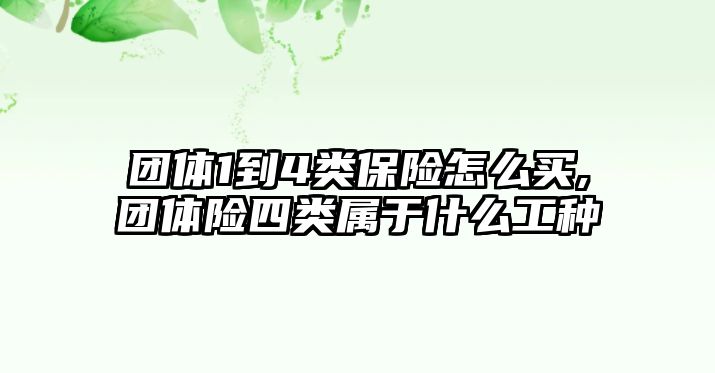 團(tuán)體1到4類保險怎么買,團(tuán)體險四類屬于什么工種