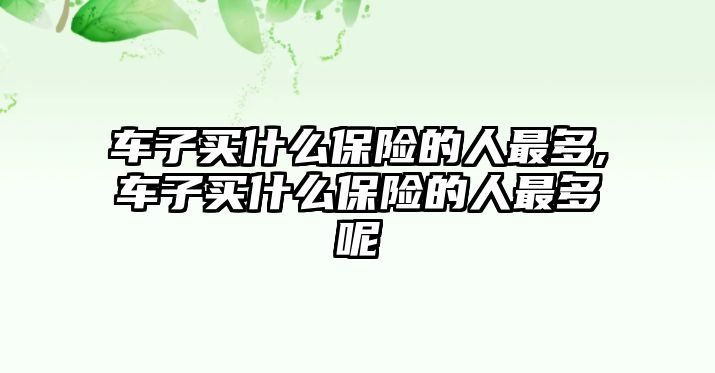 車子買什么保險的人最多,車子買什么保險的人最多呢