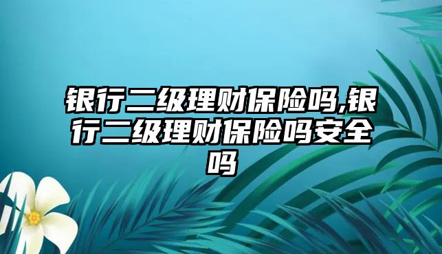 銀行二級(jí)理財(cái)保險(xiǎn)嗎,銀行二級(jí)理財(cái)保險(xiǎn)嗎安全嗎