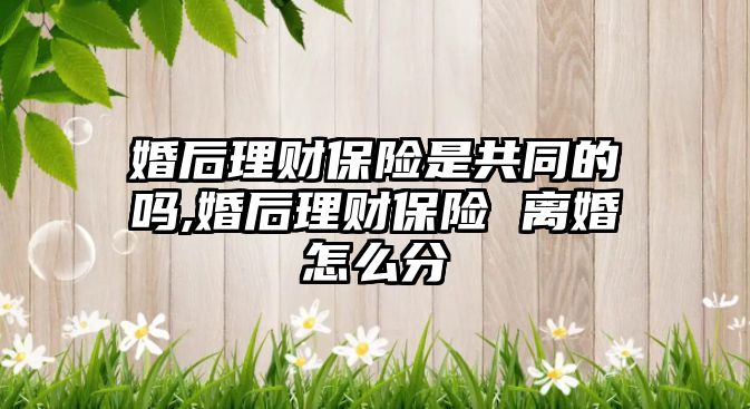 婚后理財保險是共同的嗎,婚后理財保險 離婚怎么分