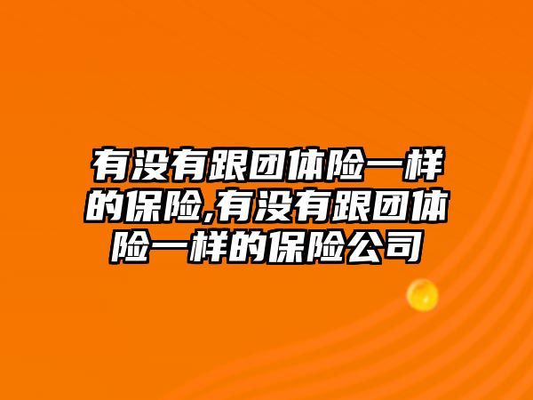 有沒有跟團(tuán)體險一樣的保險,有沒有跟團(tuán)體險一樣的保險公司