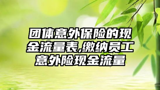 團(tuán)體意外保險的現(xiàn)金流量表,繳納員工意外險現(xiàn)金流量