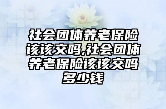 社會團體養(yǎng)老保險該該交嗎,社會團體養(yǎng)老保險該該交嗎多少錢