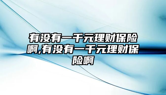 有沒有一千元理財保險啊,有沒有一千元理財保險啊