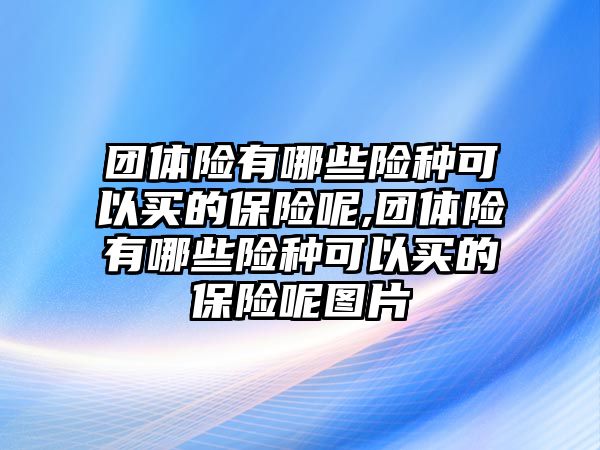 團體險有哪些險種可以買的保險呢,團體險有哪些險種可以買的保險呢圖片