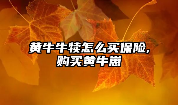 黃牛牛犢怎么買(mǎi)保險(xiǎn),購(gòu)買(mǎi)黃牛崽