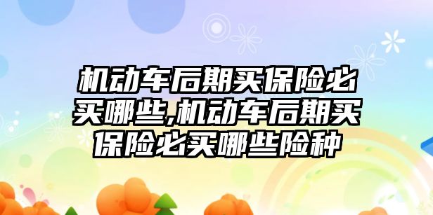 機動車后期買保險必買哪些,機動車后期買保險必買哪些險種