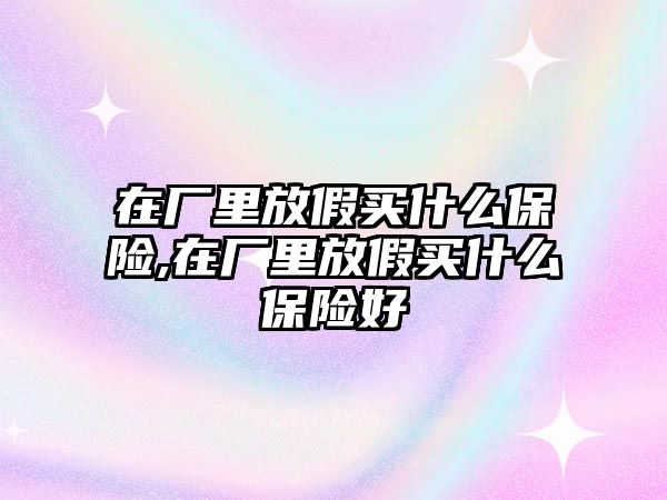 在廠里放假買什么保險(xiǎn),在廠里放假買什么保險(xiǎn)好