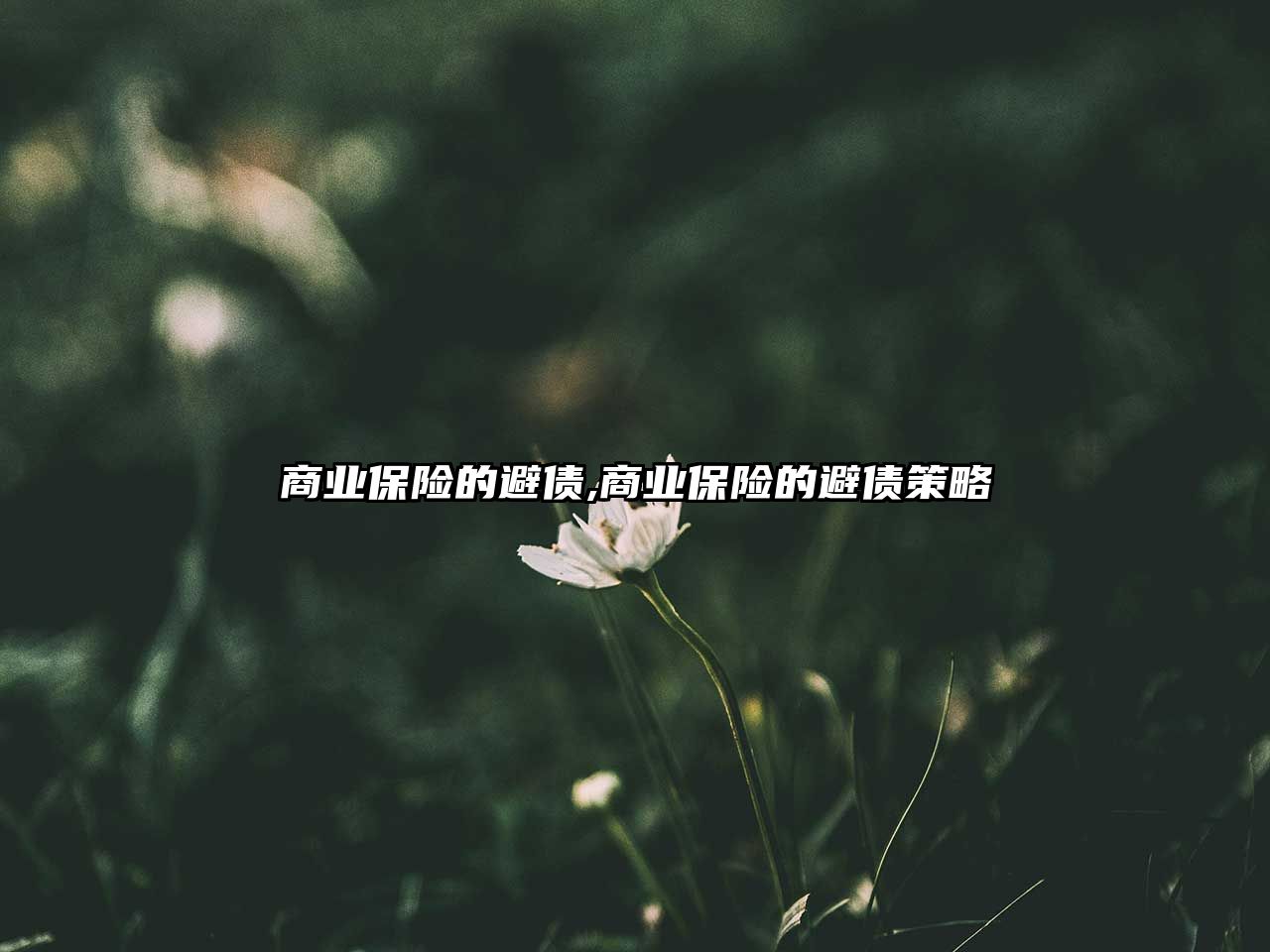 商業(yè)保險(xiǎn)的避債,商業(yè)保險(xiǎn)的避債策略