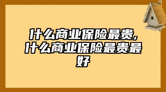 什么商業(yè)保險最貴,什么商業(yè)保險最貴最好