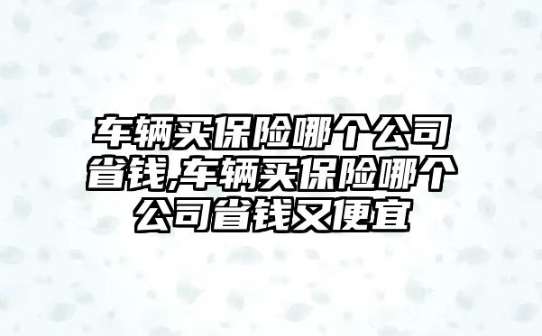 車輛買保險哪個公司省錢,車輛買保險哪個公司省錢又便宜