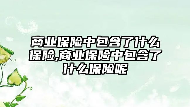 商業(yè)保險中包含了什么保險,商業(yè)保險中包含了什么保險呢