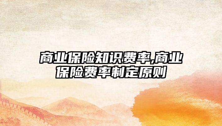 商業(yè)保險知識費率,商業(yè)保險費率制定原則