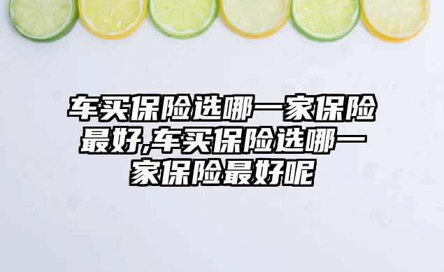 車買保險選哪一家保險最好,車買保險選哪一家保險最好呢