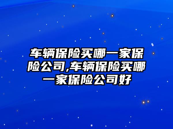 車輛保險買哪一家保險公司,車輛保險買哪一家保險公司好