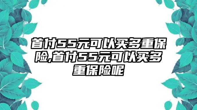 首付55元可以買多重保險(xiǎn),首付55元可以買多重保險(xiǎn)呢