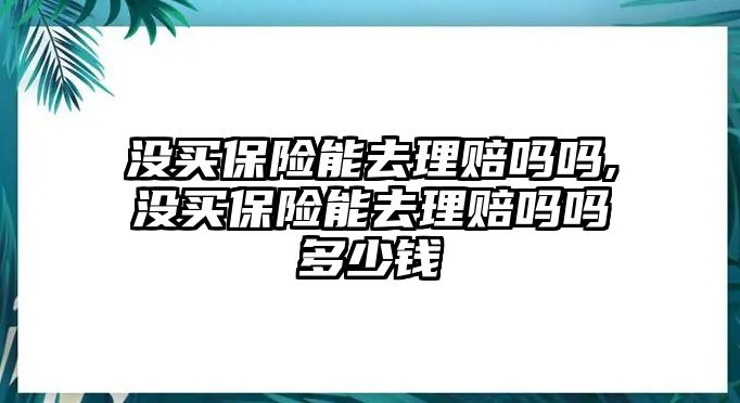 沒買保險能去理賠嗎嗎,沒買保險能去理賠嗎嗎多少錢