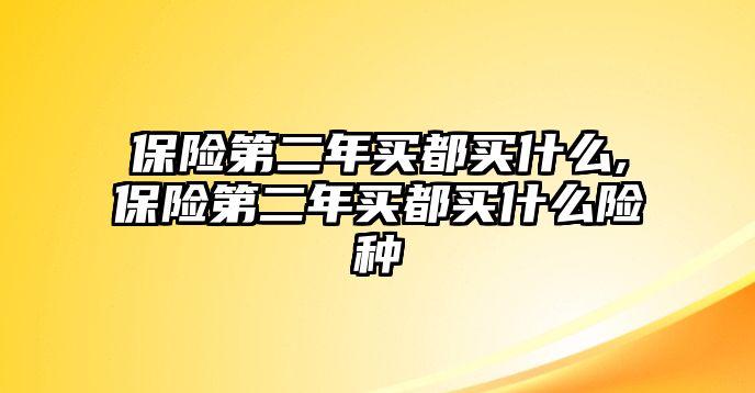 保險第二年買都買什么,保險第二年買都買什么險種