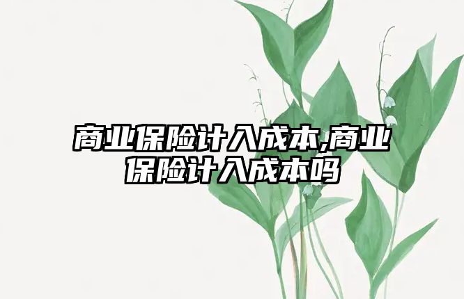 商業(yè)保險(xiǎn)計(jì)入成本,商業(yè)保險(xiǎn)計(jì)入成本嗎