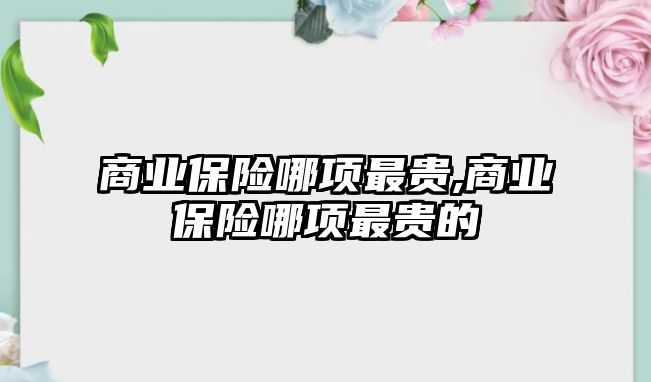 商業(yè)保險哪項最貴,商業(yè)保險哪項最貴的