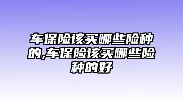 車保險該買哪些險種的,車保險該買哪些險種的好