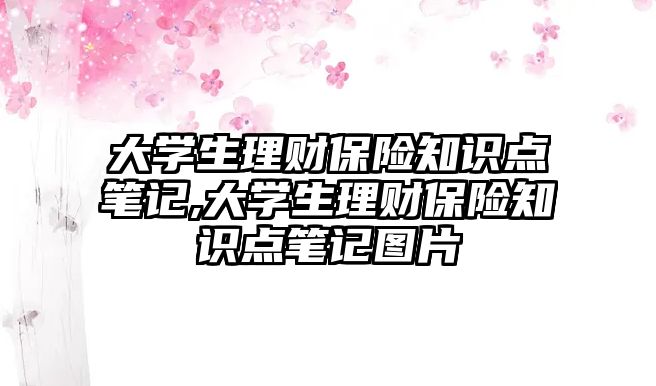 大學(xué)生理財保險知識點筆記,大學(xué)生理財保險知識點筆記圖片